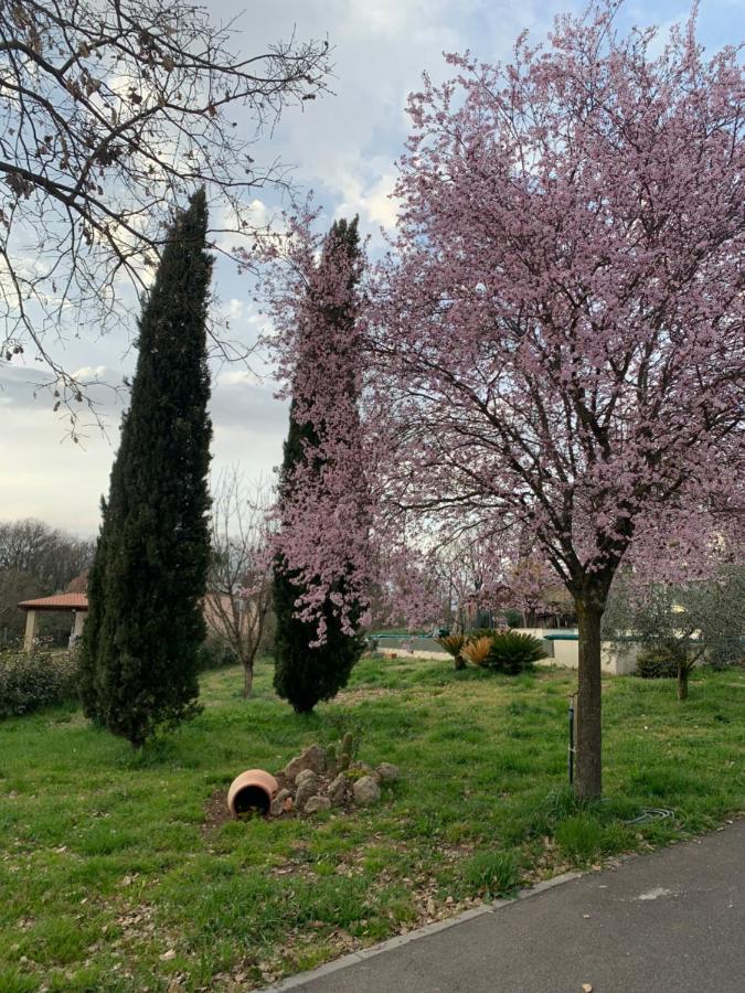 Oltre La Siepe Apartment Nepi Buitenkant foto