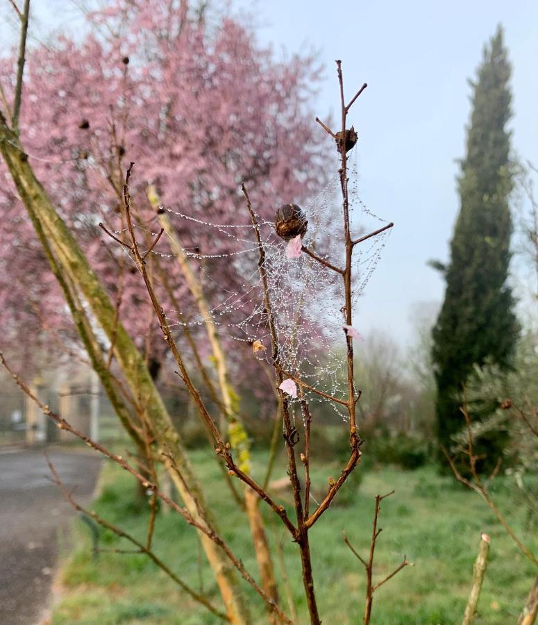 Oltre La Siepe Apartment Nepi Buitenkant foto